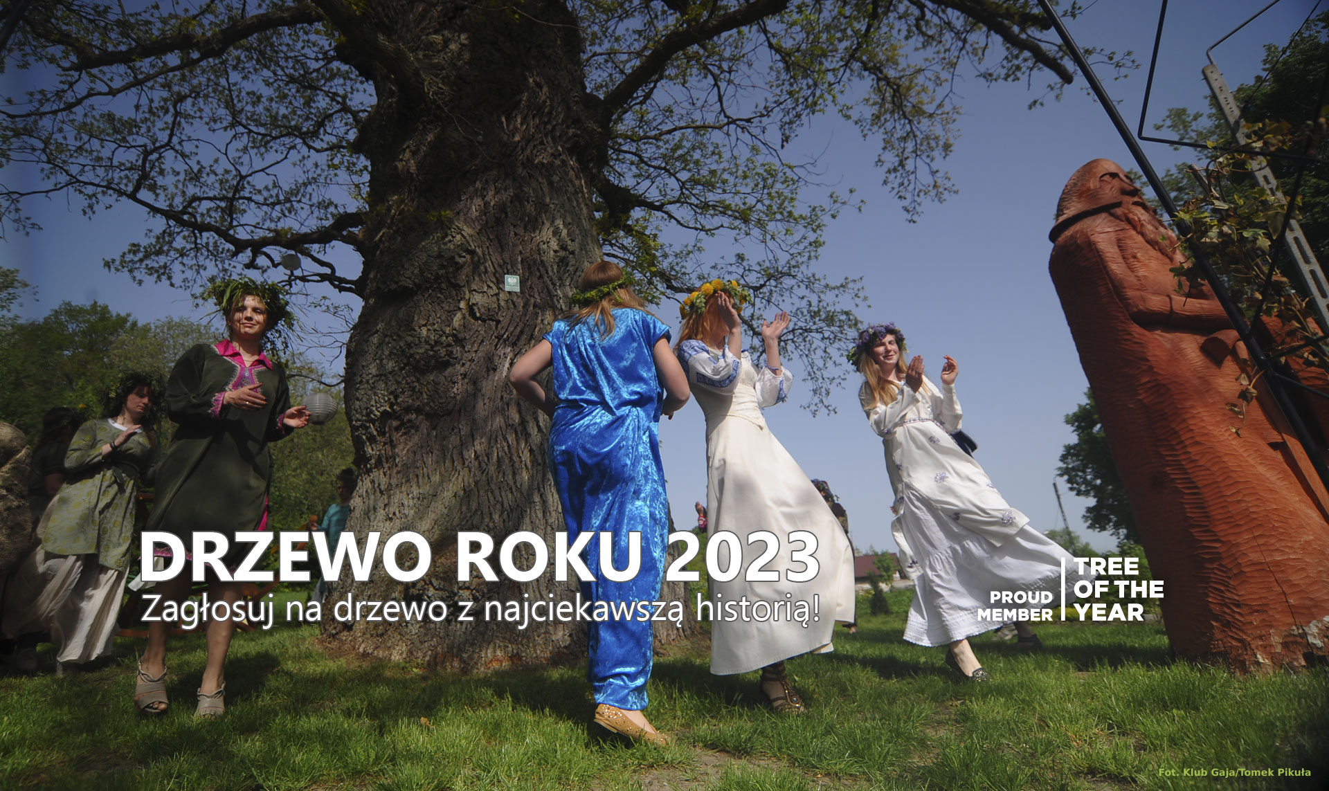 Konkurs Drzewo Roku