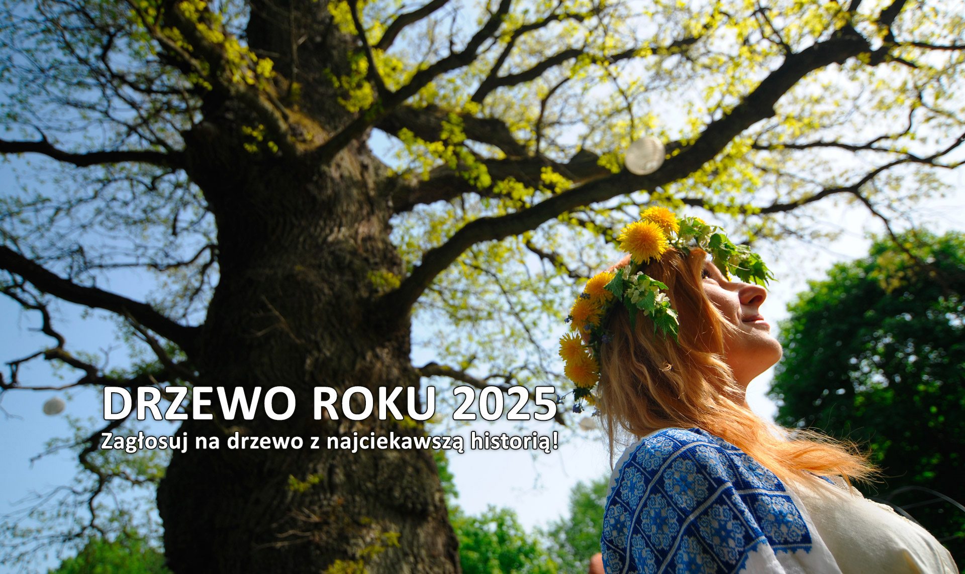 Konkurs Drzewo Roku