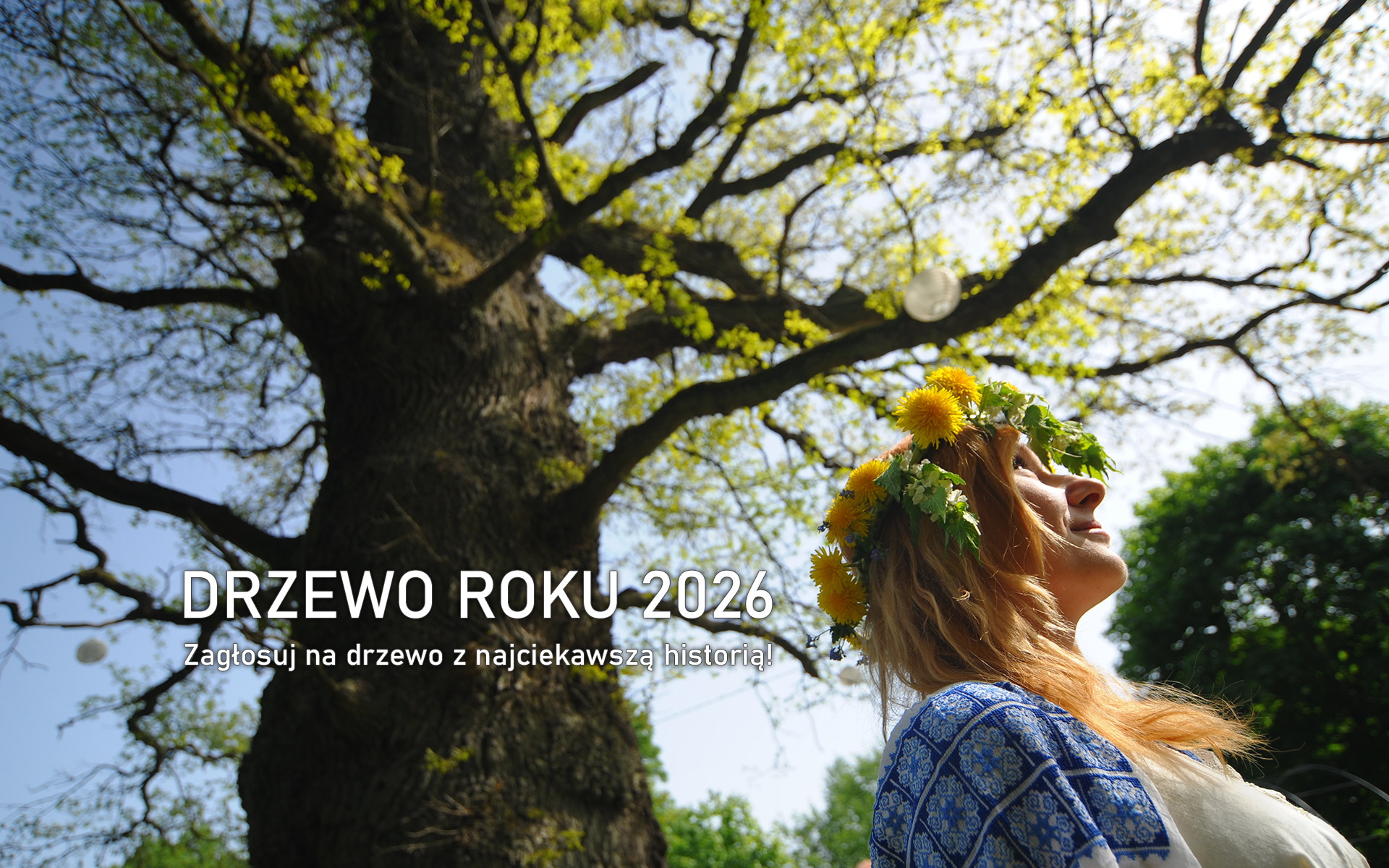 Konkurs Drzewo Roku