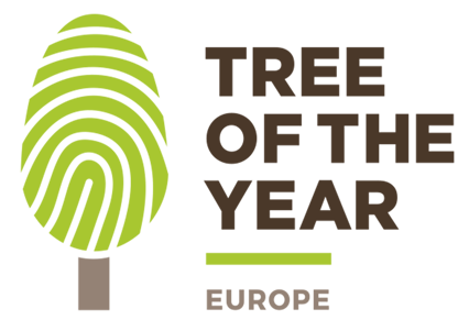 European Tree of the Year